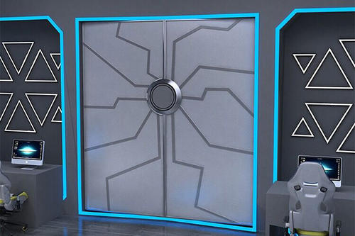 网红自动门 感应门 电动门